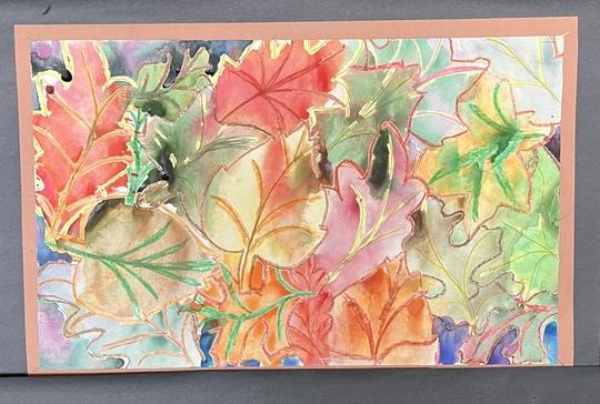 Ceceilia M. Markham, DMD Orthodontist