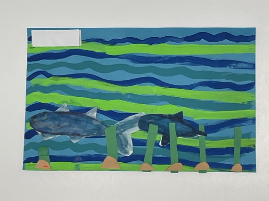 Ceceilia M. Markham, DMD Orthodontist