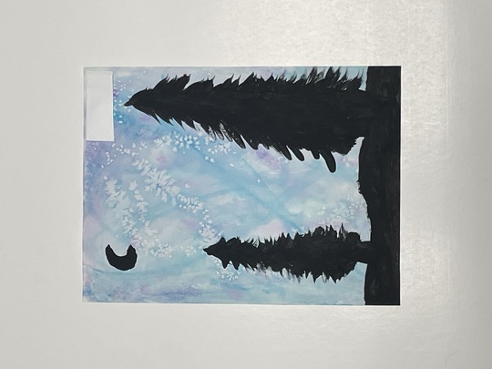 Ceceilia M. Markham, DMD Orthodontist