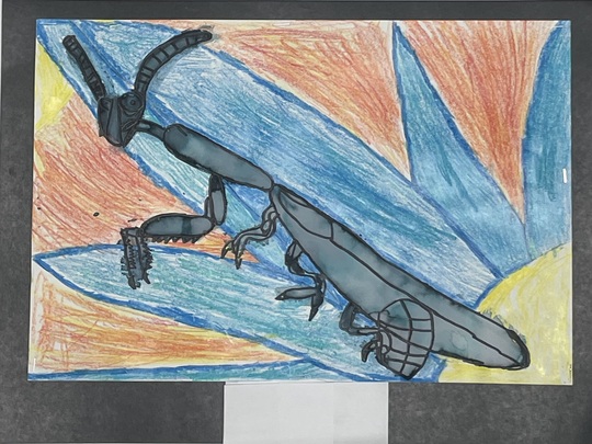 Ceceilia M. Markham, DMD Orthodontist