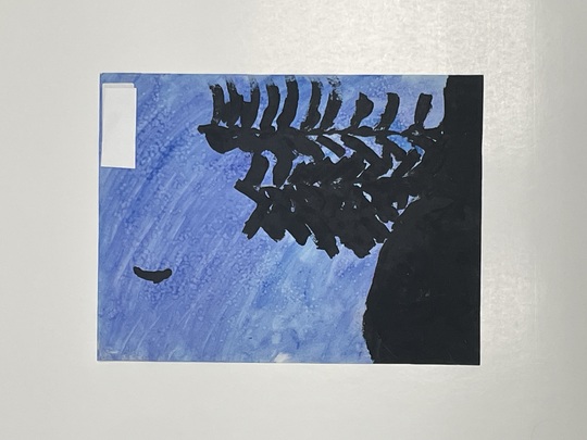 Ceceilia M. Markham, DMD Orthodontist